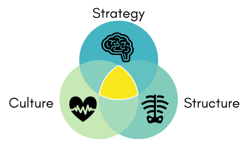 Building Structure Shapes | The Forge